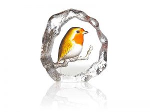 Robin
