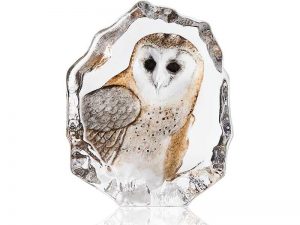 Barn Owl