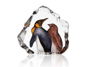 King penguin with baby