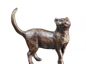 Cat Standing