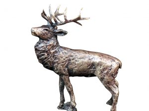 Stag