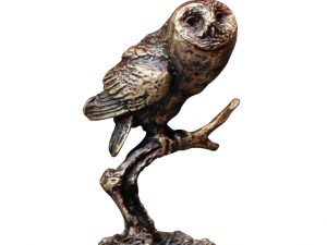 Tawny Owl