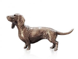 Dachshund