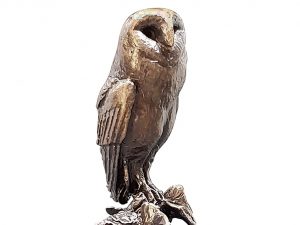 Barn Owl
