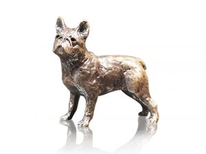 French Bull Dog
