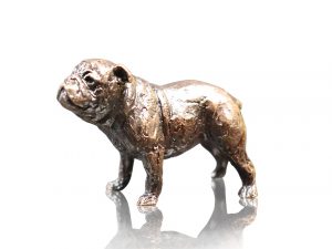 English Bull Dog