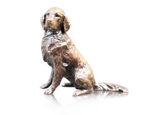 Retriever Sitting