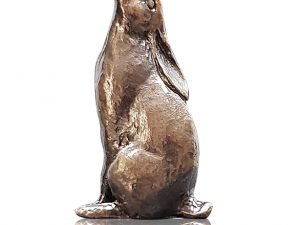 Hare Moon Gazing