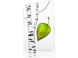 Small Birch Tree