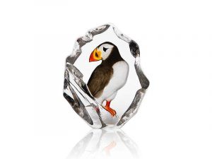 Puffin