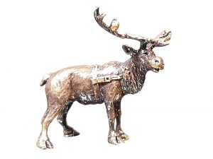 Reindeer
