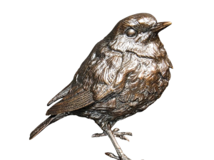 Robin Standing