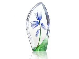 Harebell