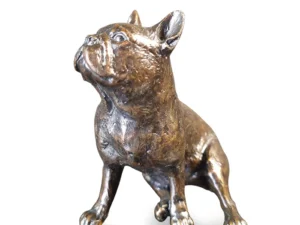 Small French Bull Dog