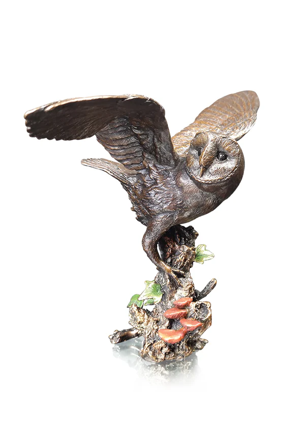Barn Owl with Ivy
