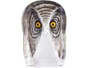 Large owl