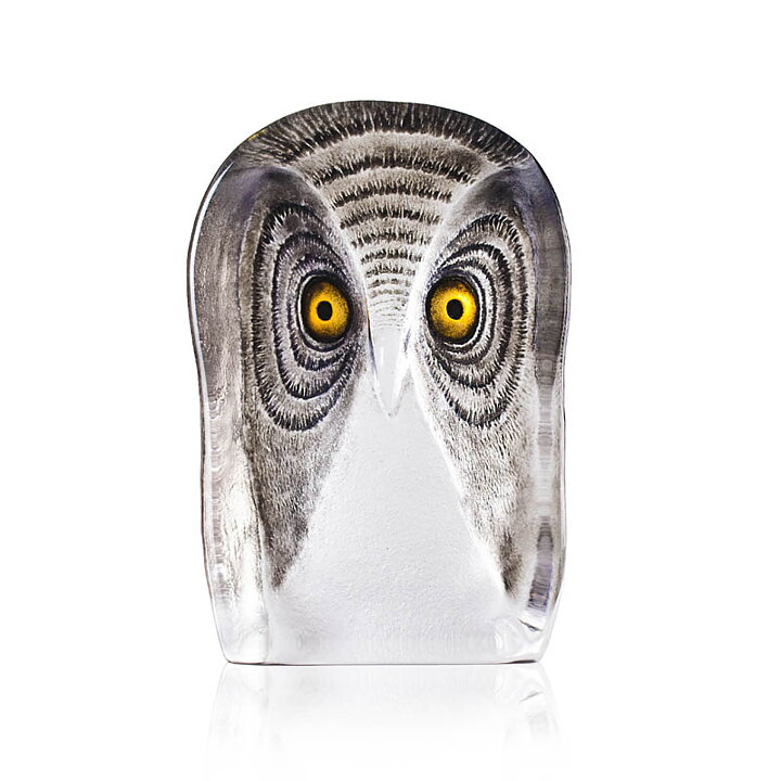 Large owl