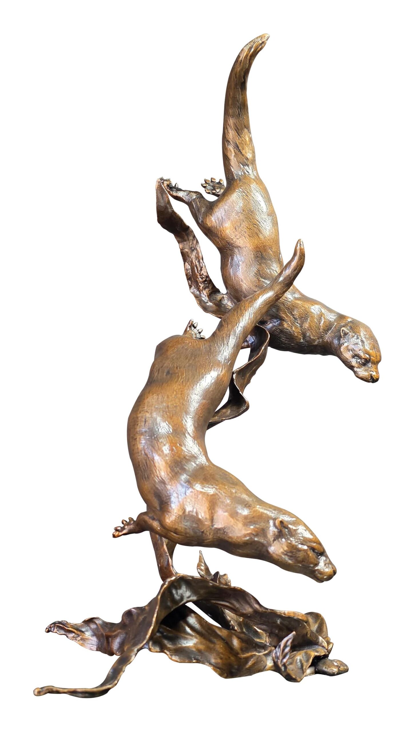 Otters Playing - Image 3