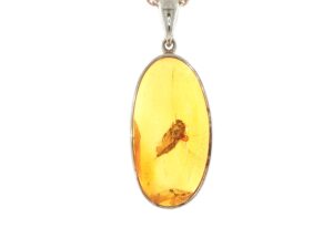 Oval Amber Charm Necklace with Insect Inclusion in Silver